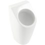 Villeroy & Boch Architectura Piszoár, légymatricával 55860501